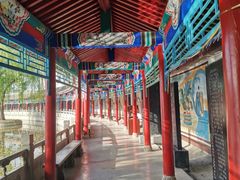 -东方巨龟苑景区