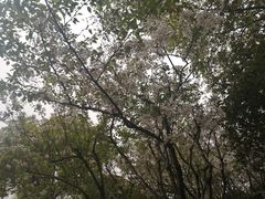 -小杨生煎(周浦万达店)