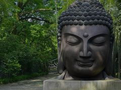 -杭州植物园