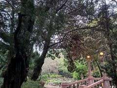 -叶家花园