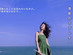 -广东惠东海龟国家级自然保护区