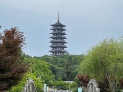 -宜兴龙背山森林公园