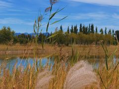 -野鸭湖国家湿地公园