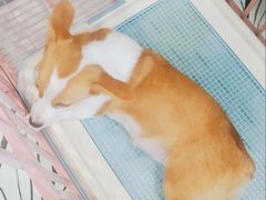 -白夜2D咖啡馆