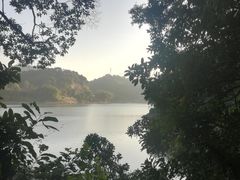 -广州市帽峰山景区