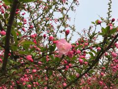 -白塘生态植物园