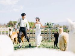 -太古映画婚纱摄影(天河店)