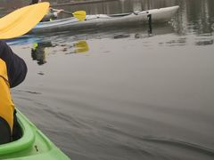 -白鹭湾湿地公园