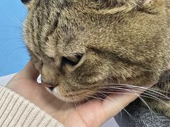 -Best U照相馆证件照·外拍(中山公园店)