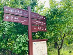 -鬼笑石后山停车场