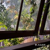 这家咖啡店 太悠闲了吧