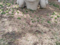-长春世界雕塑园