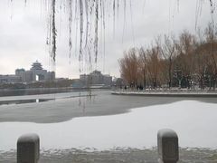 -莲花池公园