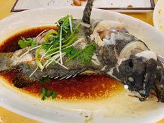 清蒸石斑鱼-鹏城人家海鲜酒家·23年老字号(较场尾店)
