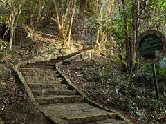 -海南铜鼓岭景区