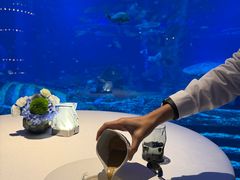 -亚特兰蒂斯•OSSIANO奥西亚诺海底餐厅