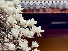-龙华寺
