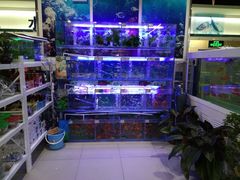 -翠湖湾海鲜音乐餐厅