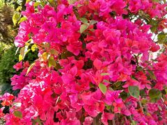 -上海植物园-4号门售票处