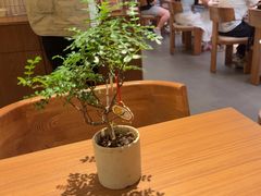 -CURRY YA 熟成咖哩專門店(深圳湾万象城店)