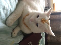 自由人影城-自由人影城(大庆唐人中心店)