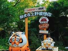 -上海野生动物园