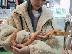 -藦茜花园宠物主题亲子互动体验馆(国顺东路店)