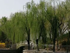 -黄村公园