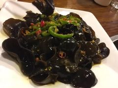 -百利鸽王(紫薇路店)