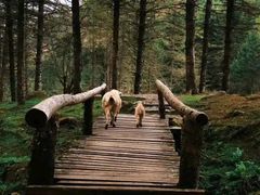 -硗碛藏寨·神木垒景区