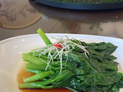 -天目馨缘