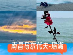 -瑶湖郊野森林公园