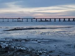 -宝安西湾红树林湿地公园