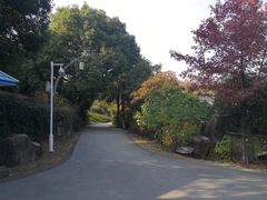 -白马涧龙池景区