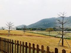 -艾米稻香小镇