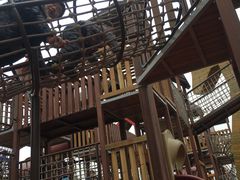 -枫香湖儿童公园