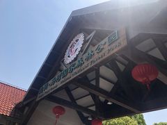 -上海海湾国家森林公园