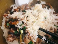 -红星光发煲仔饭(文海店)