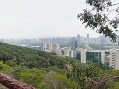 -狐尾山公园