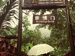 -呀诺达热带雨林