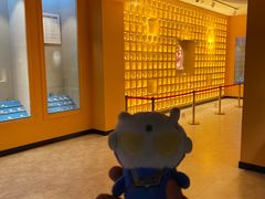 -迪庆藏族自治州博物馆