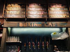 -Boxing Cat Brewery拳击猫精酿啤酒馆(永福店)