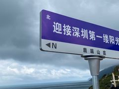 -杨梅坑