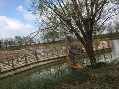 -盐城丹顶鹤湿地生态旅游区