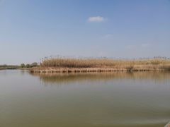 -宁波杭州湾国家湿地公园