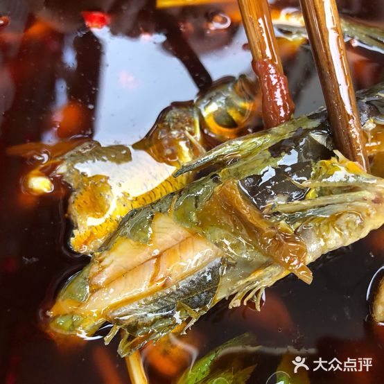 大安蝌蚪鱼苗火锅(龙湖雅居店)