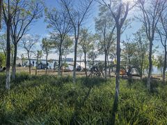 -天津东丽湖风景区