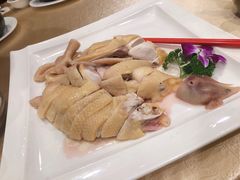 白切鸡-喜悦海鲜大酒楼(钱柜广场店)