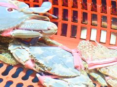 -巽寮印象美食部落餐厅·海鲜·地方特色菜(惠州体验店)