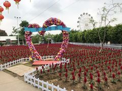 -广东花都香草世界旅游度假区